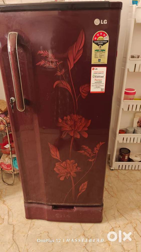 LG Refrigerator 177 liter