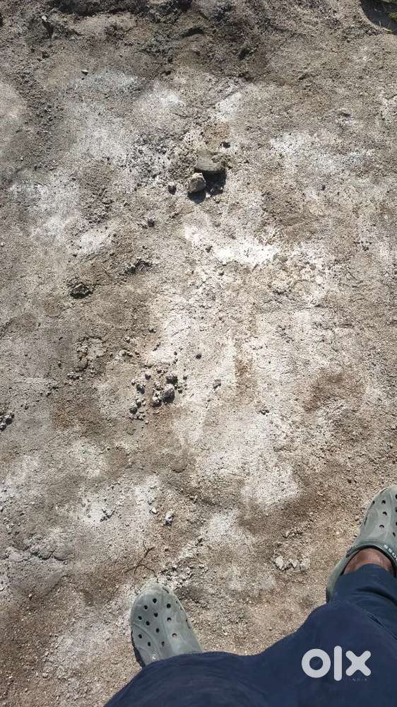 Priya colony padegaon