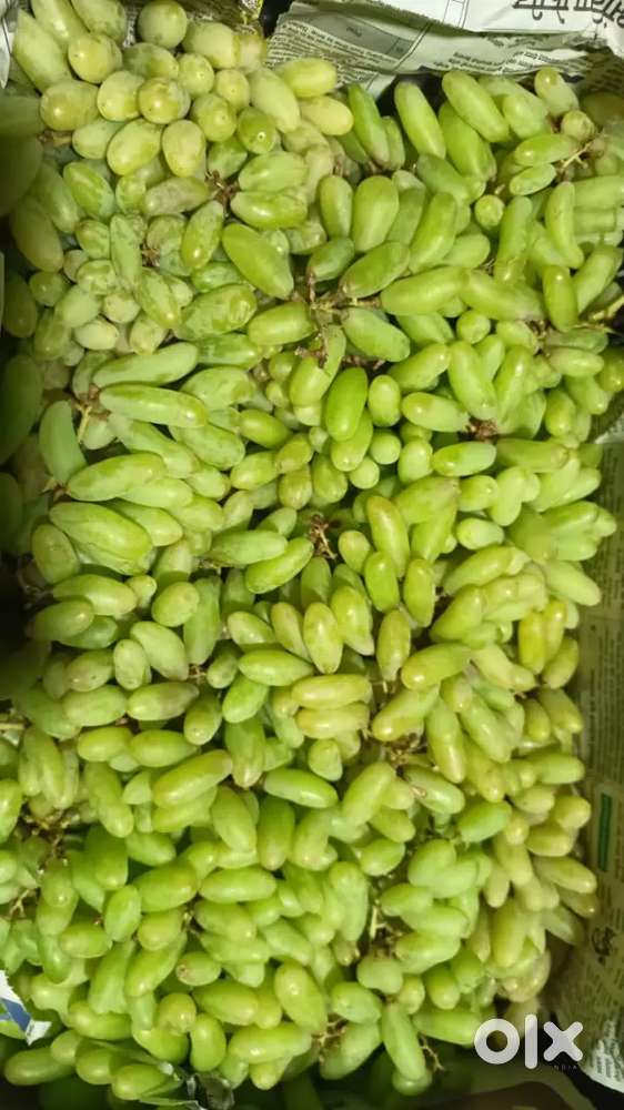FRUIT SHOP VERY VERY URGENT