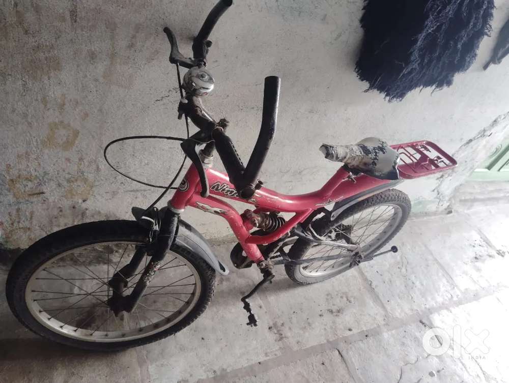 Best cycle