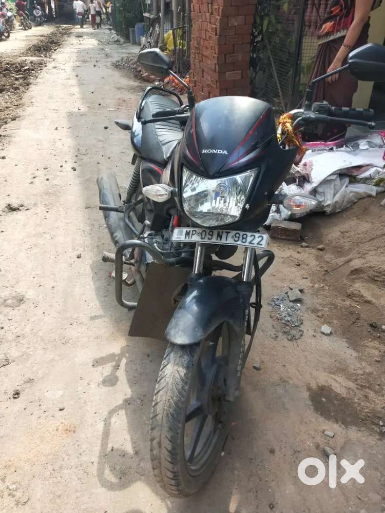 Honda shine top condition bike