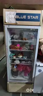Blue star brand new display freeze.300.ltr