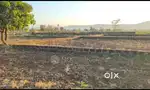 Pipili gharabadi plot