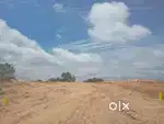 Owner selling plots