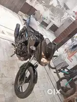 Pulsar 125 neon disc 2024 all new