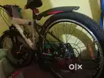 Cycle leader