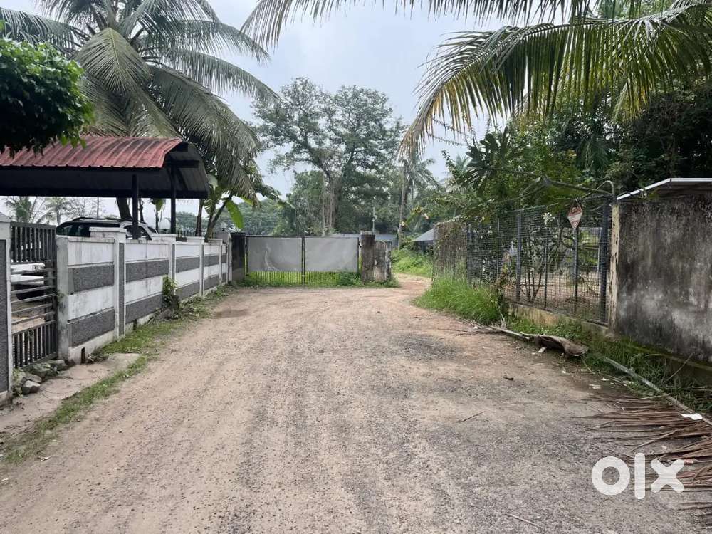 WATER FRONTAGE 39CENT SEMI COMMERCIAL LAND FOR SALE AT KADAVANTHRA