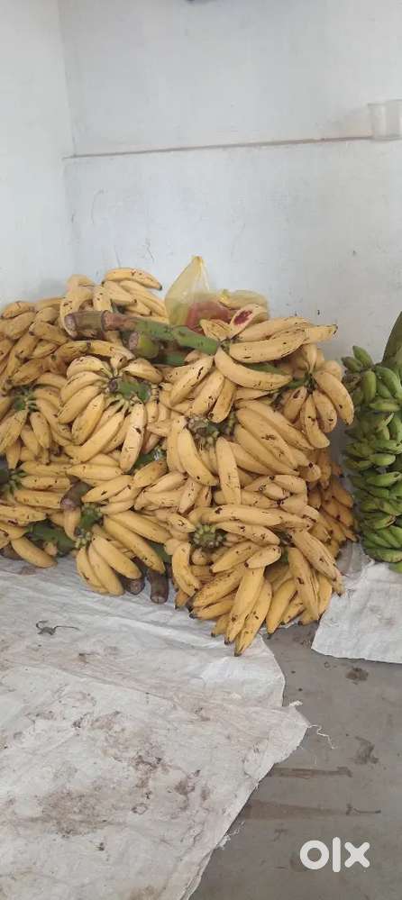 Banana Shop sale man