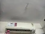 Ac vecvanu che