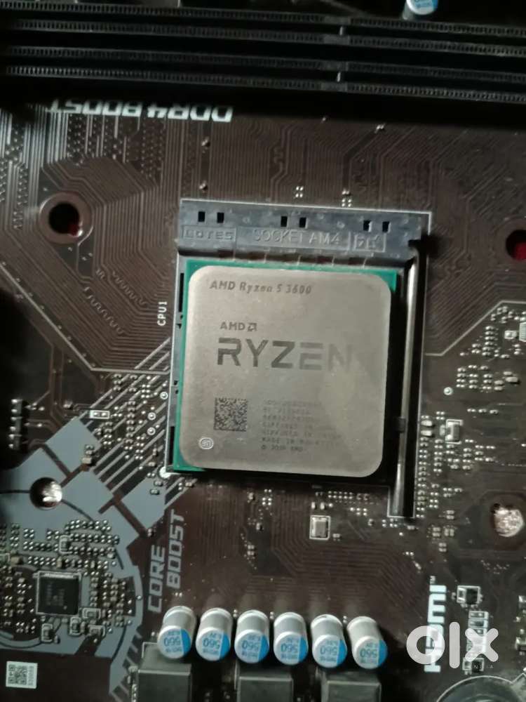 AMD RYZEN 5 3600 only