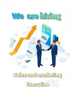 SALES AND MARKETING EXECUTIVE