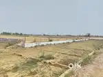 Plots sale