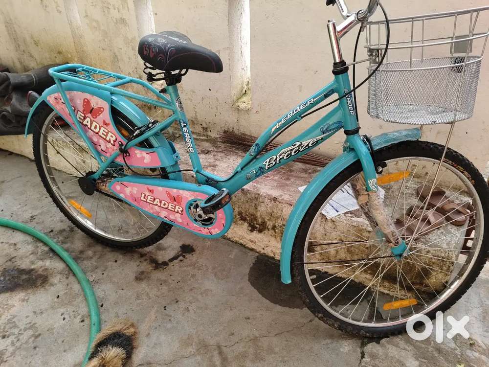 2 manth old leader cycle