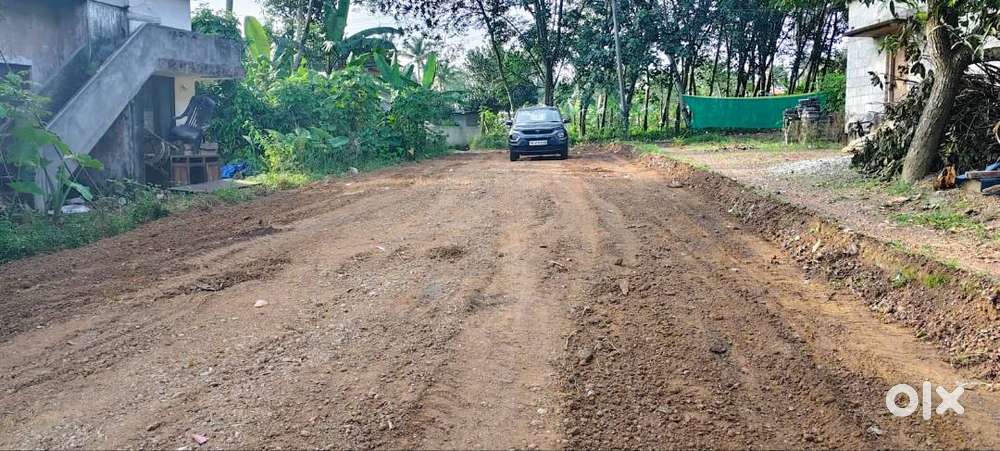 20,35,40 CENT PLOT FOR SALE@CHEMBAKAMANGALAM