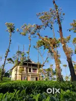 27 cent plot with resort sale in vagamon /വാഗമണ്ണിൽ റിസോർട്വില്പനക്ക്