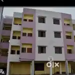 A wonderful colony in  raipur