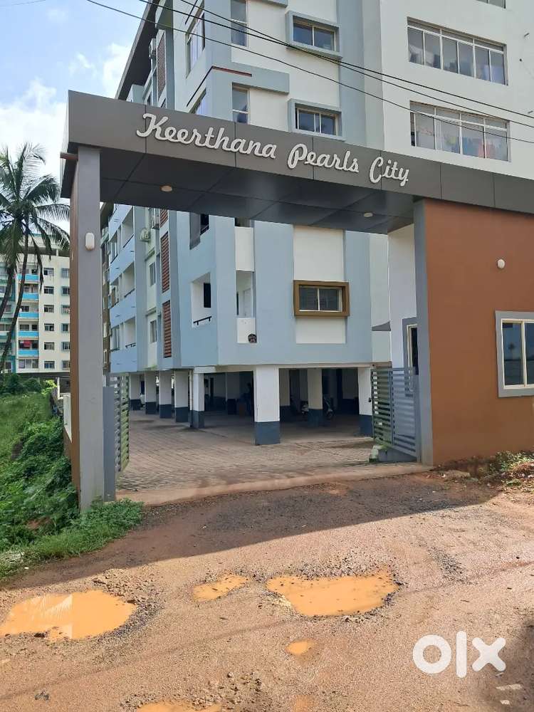 Apartment rent and sale