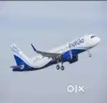 Indigo Airlines urgent hiring ground staff vacancies available