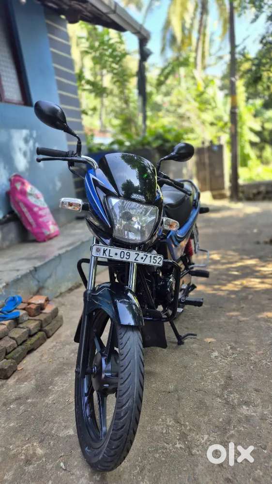 Passion pro december model