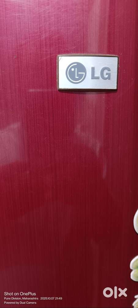 LG 240 litre Refrigerator