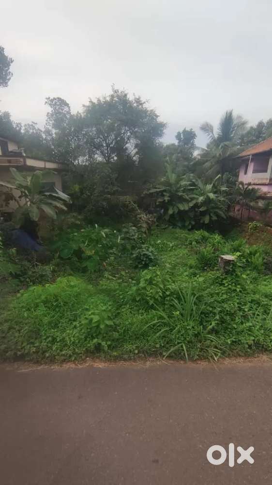 Plot for sale