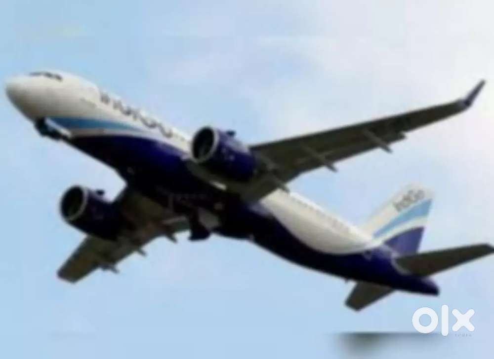 Cabin crew job