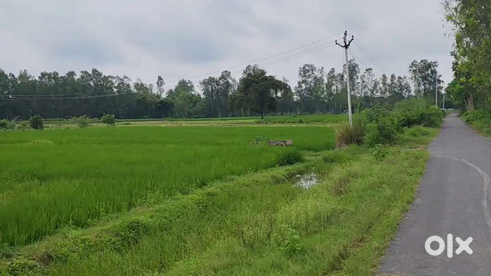 रोड से कनेक्ट खेती वाली जमीन बिकाऊ है बीघे में तुरन्त कब्जा पाए