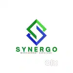 Delivery Executive