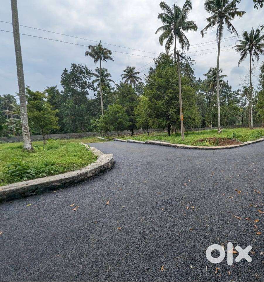 8,10, 25 Cent House Plot near Apollo Hospital, Karukutty, Angamaly