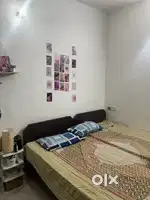 looking for female roommate
