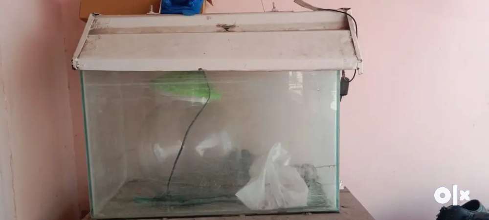 Fish tank and stand