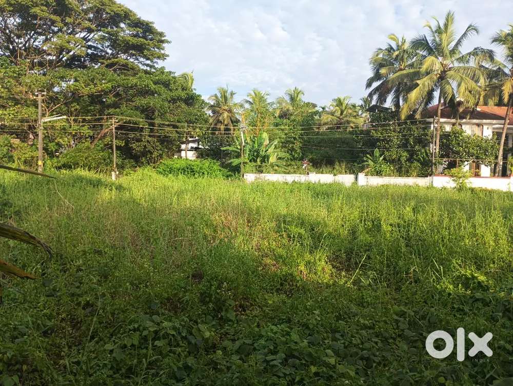 11 cent plot for sale