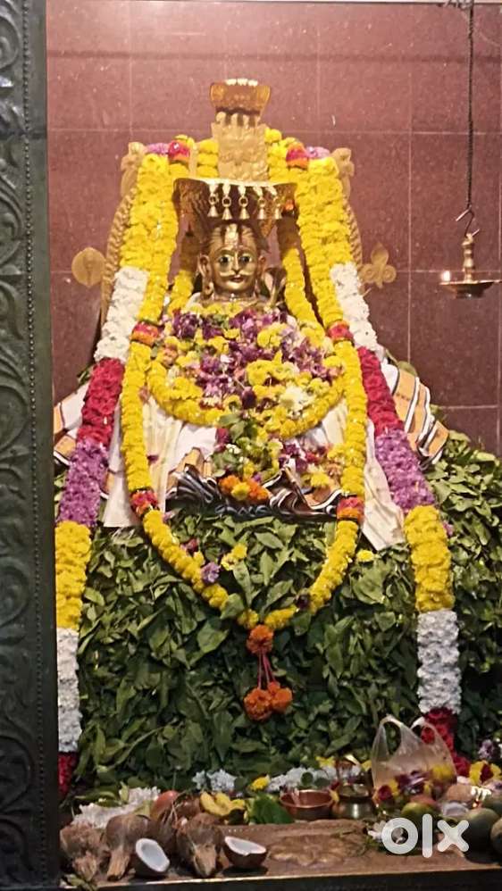 I want job non-teaching and teaching