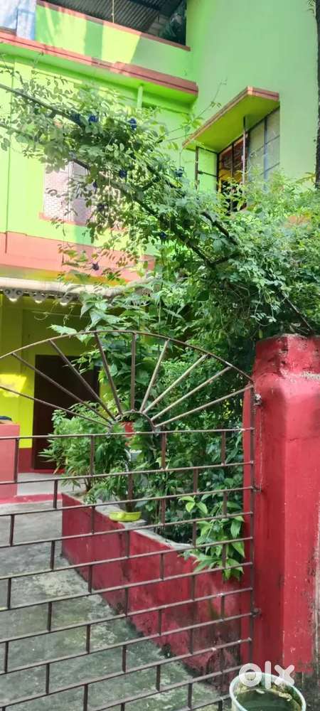 House Rent at Senpara Jalpaiguri
