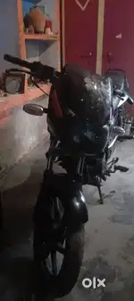 Pulsur bike