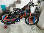 New bysaikal