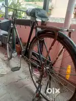 Hercules cycle