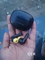 Dubstep eayer bird