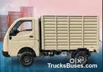 Wanted Tata ace Drivers