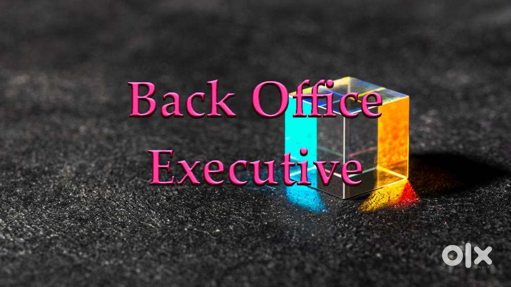 Back Office Executive