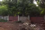 Wood Complex – Plot No. 38 for Rent