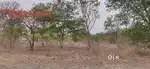 15000 sqft Open land Plot for rent At wakad Near Millenium mall