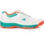Cricket shoe