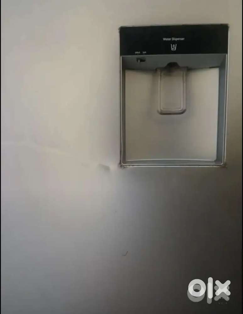 Frij sumsung company