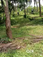 9.85cent land for sale in yeyyadi mangalore