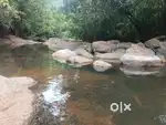 Vagamon Mottakkunnu 4 km distance 2 AC Land for sale.