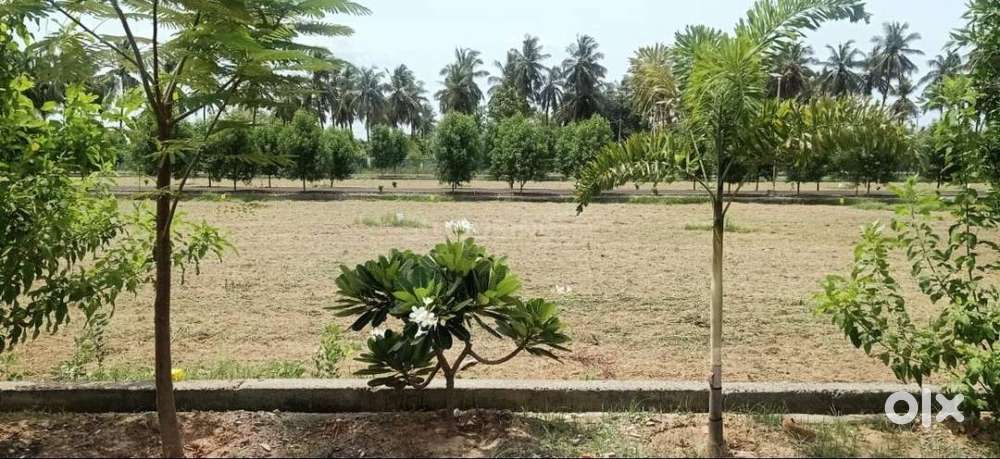 Diwali Special Price – A-Khata Plots, Loan up to 75%
