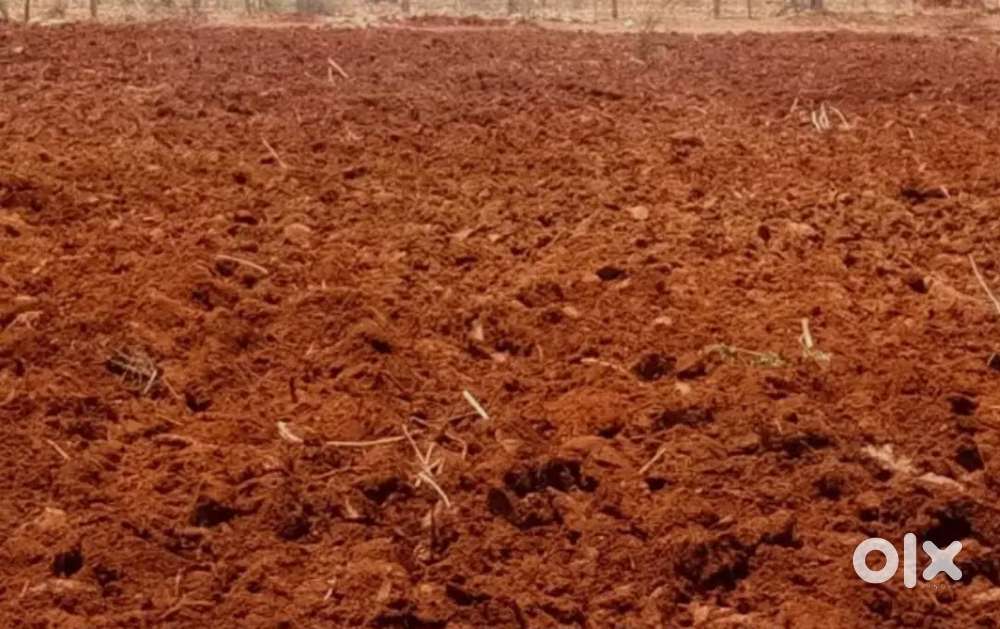 Agricultural land for sale from shivamogga 15km