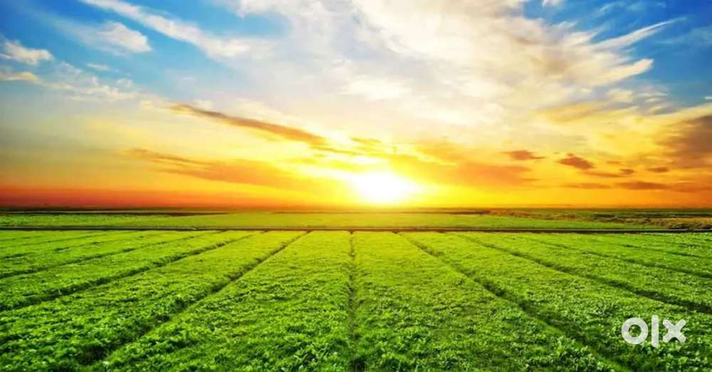 ಮೈಸೂರು ಹಾಗು ಹುಬ್ಬಳ್ಳಿ ಸುತ್ತಮುತ್ತ  ಕೃಷಿ ಜಮೀನು ಬೇಕಾಗಿದೆ. ಗುಂಟೆಗಳಲ್ಲೂ OK