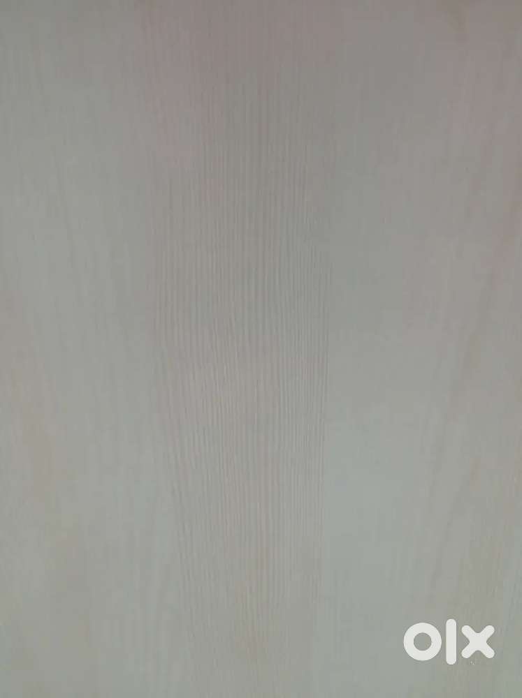 Sales Executive & Marketing Executive